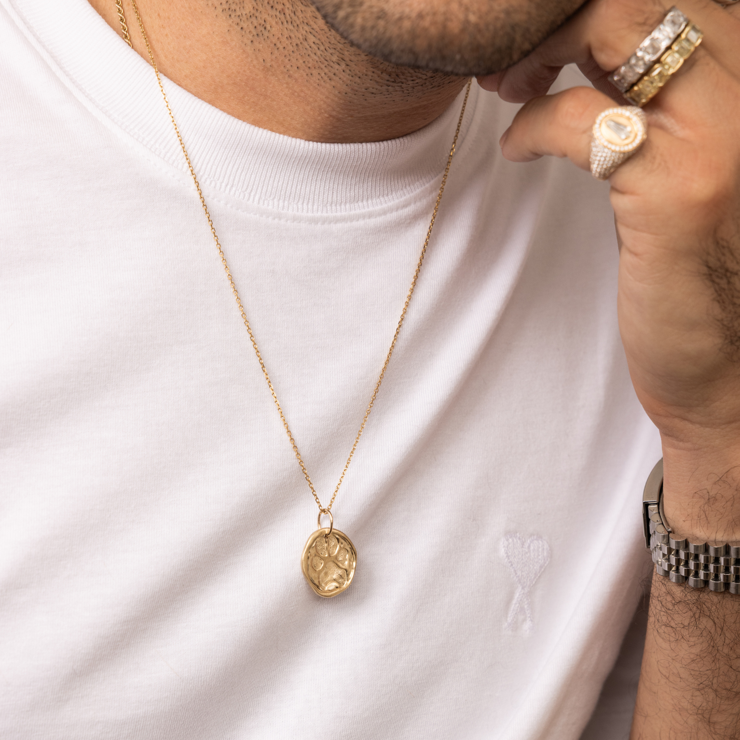 Paws for a Cause Medallion