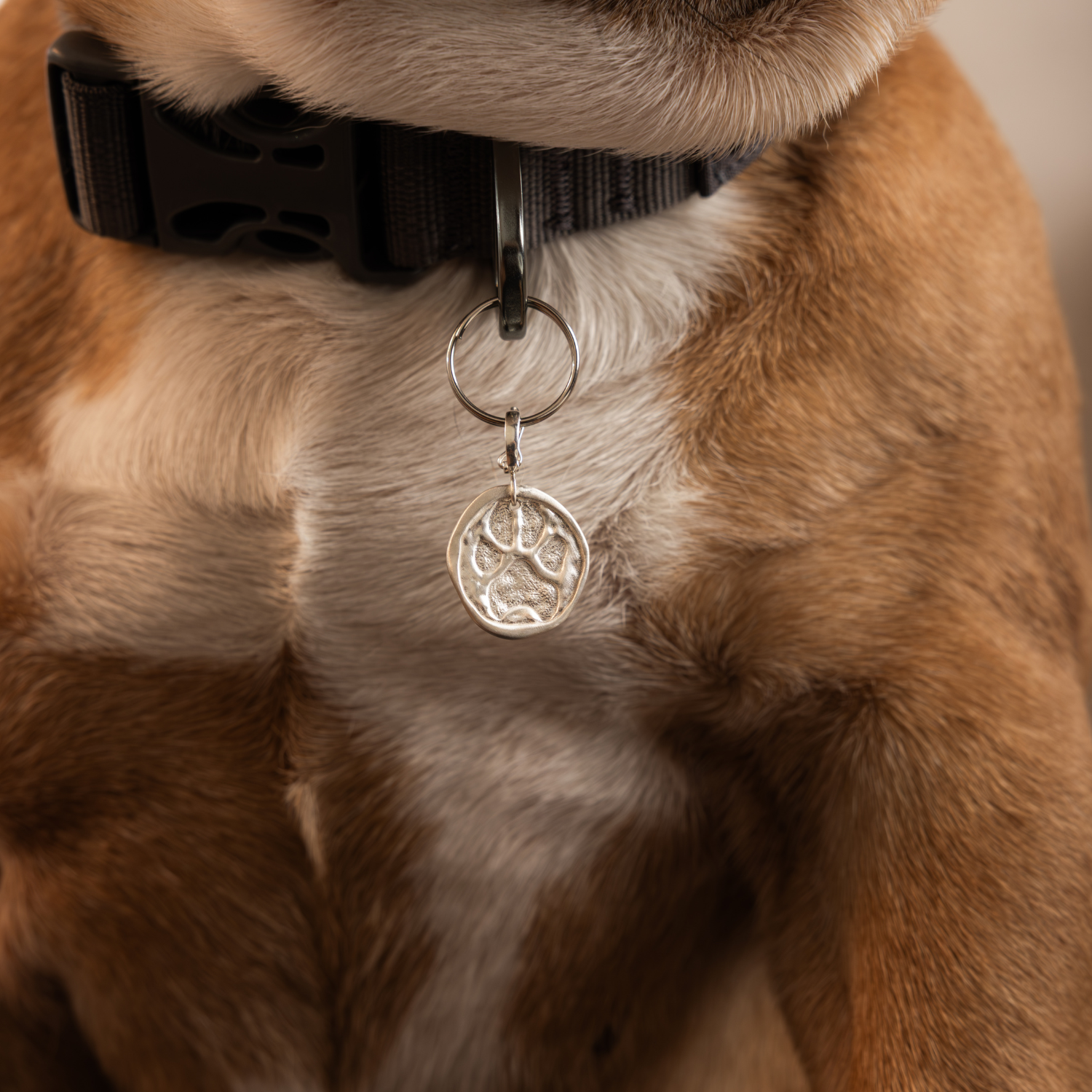 Paws for a Cause Medallion