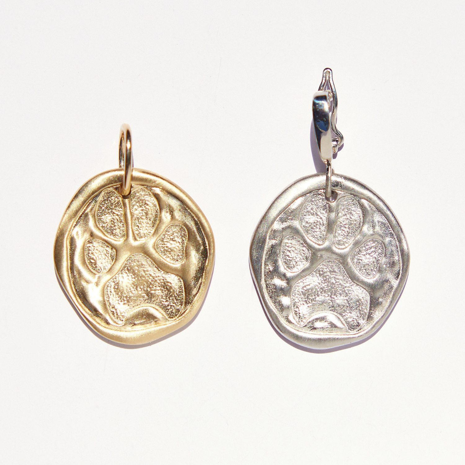 Paws for a Cause Medallion