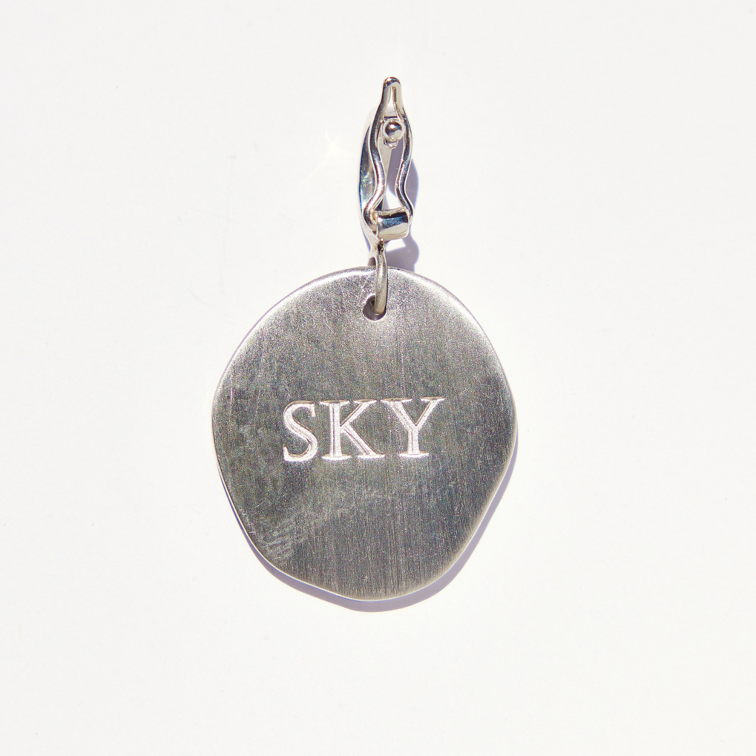 Paws for a Cause Medallion