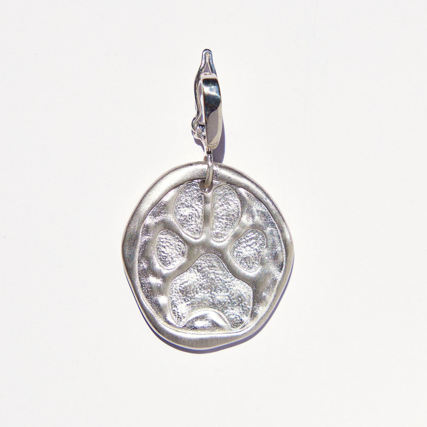 Paws for a Cause Medallion