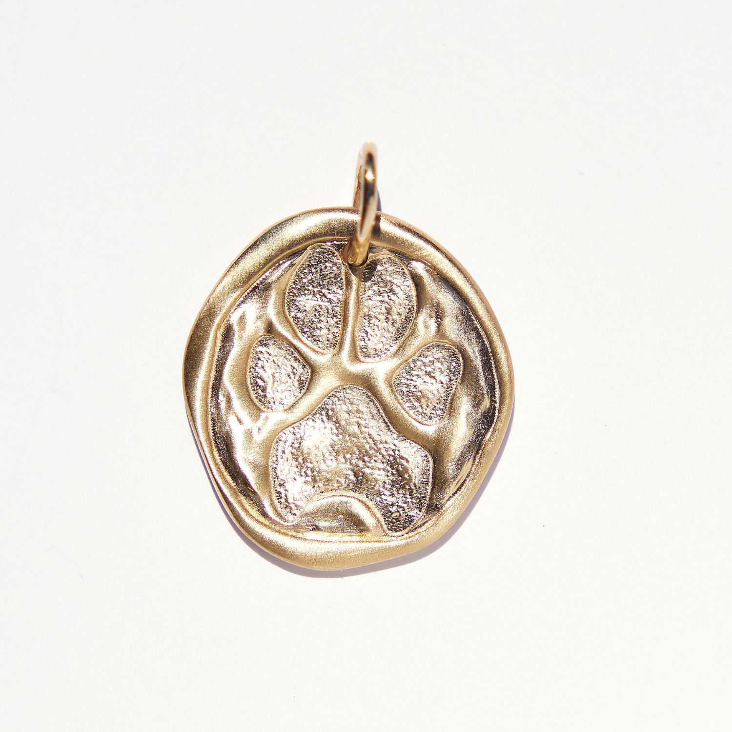 Paws for a Cause Medallion